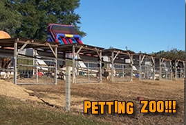 petting zoo